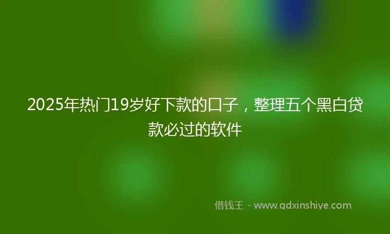 2025年热门19岁好下款的口子,整理五个黑白贷款必过的软件