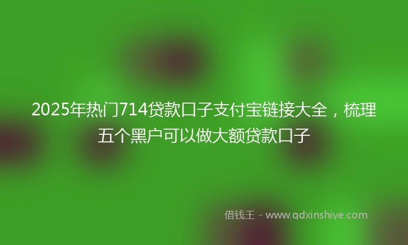 2025年热门714贷款口子支付宝链接大全，梳理五个黑户可以做大额贷款口子