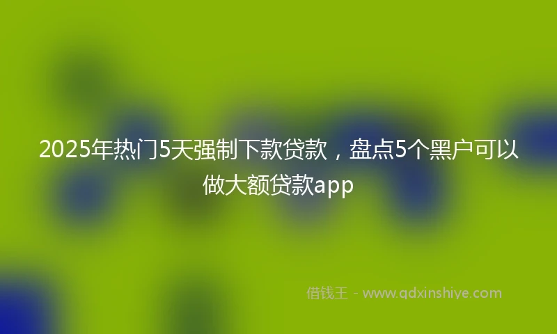 2025年热门5天强制下款贷款,盘点5个黑户可以做大额贷款app