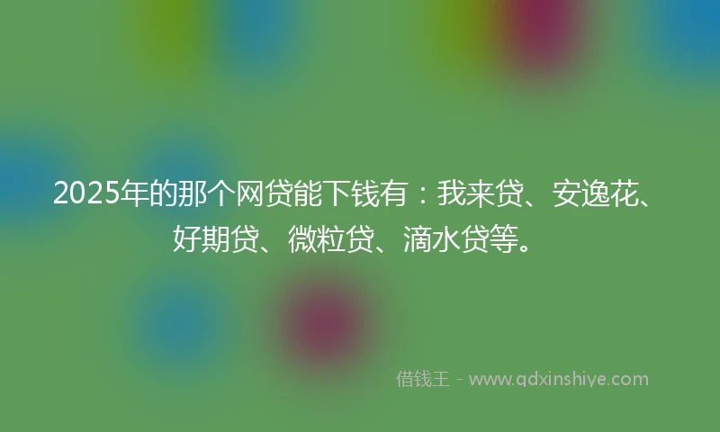 2025年的那个网贷能下钱有：我来贷、安逸花、好期贷、微粒贷、滴水贷等。
