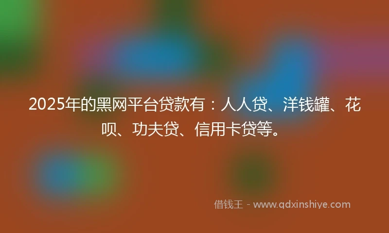 2025年的黑网平台贷款有：人人贷、洋钱罐、花呗、功夫贷、信用卡贷等。
