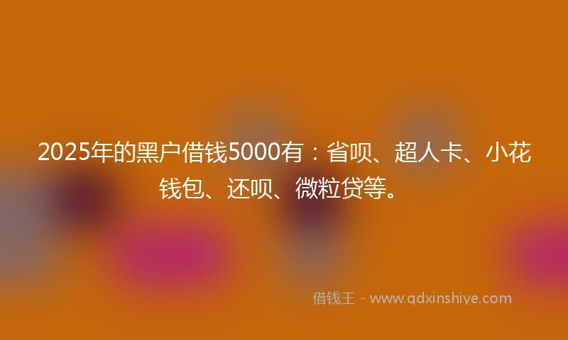 2025年的黑户借钱5000有：省呗、超人卡、小花钱包、还呗、微粒贷等。