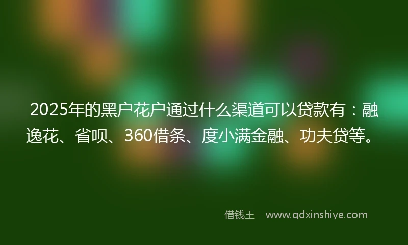 2025年的黑户花户通过什么渠道可以贷款有：融逸花、省呗、360借条、度小满金融、功夫贷等。