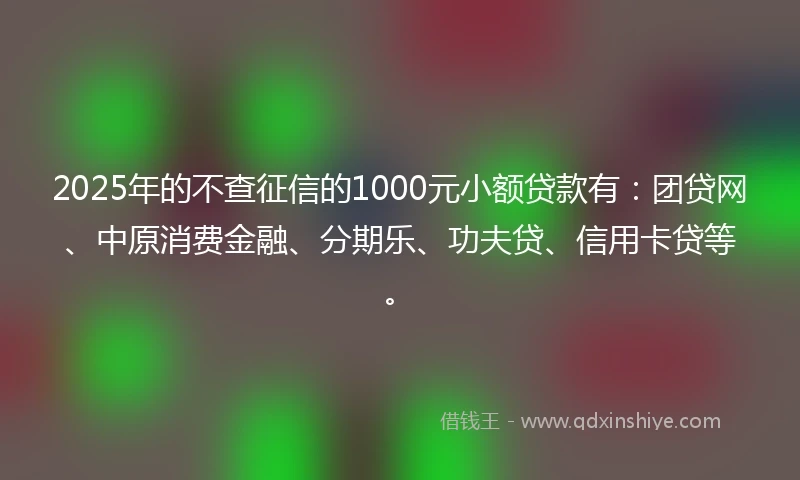 2025年的不查征信的1000元小额贷款有：团贷网、中原消费金融、分期乐、功夫贷、信用卡贷等。