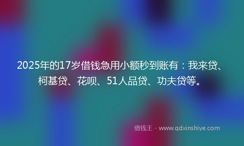 2025年的17岁借钱急用小额秒到账有:我来贷、柯基贷、花呗、51人品贷、功夫贷等。