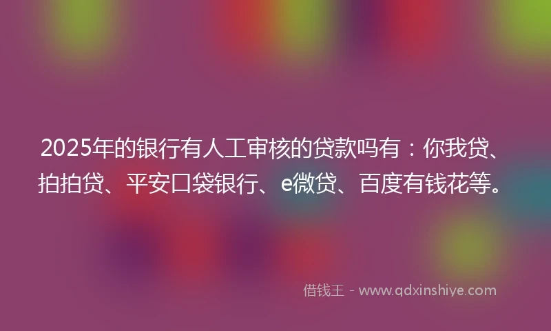 2025年的银行有人工审核的贷款吗有：你我贷、拍拍贷、平安口袋银行、e微贷、百度有钱花等。