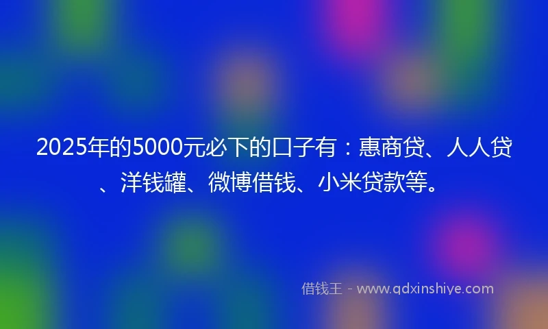 2025年的5000元必下的口子有：惠商贷、人人贷、洋钱罐、微博借钱、小米贷款等。