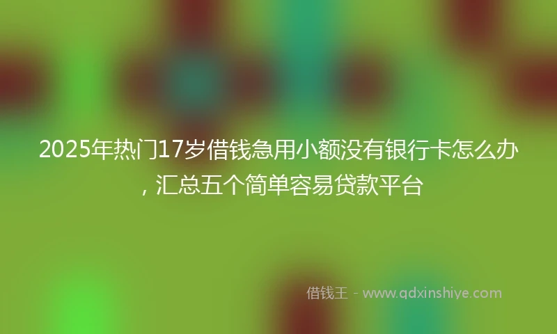 2025年热门17岁借钱急用小额没有银行卡怎么办，汇总五个简单容易贷款平台