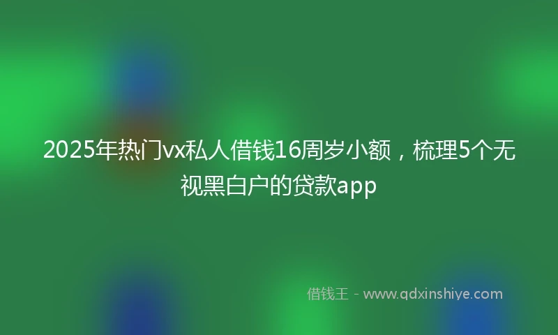 2025年热门vx私人借钱16周岁小额,梳理5个无视黑白户的贷款app