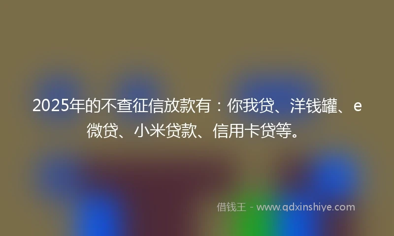 2025年的不查征信放款有：你我贷、洋钱罐、e微贷、小米贷款、信用卡贷等。