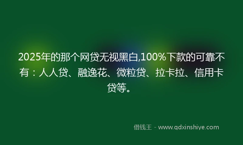 2025年的那个网贷无视黑白,100%下款的可靠不有：人人贷、融逸花、微粒贷、拉卡拉、信用卡贷等。