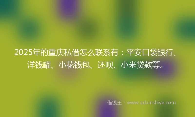 2025年的重庆私借怎么联系有：平安口袋银行、洋钱罐、小花钱包、还呗、小米贷款等。