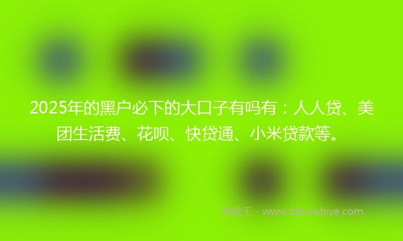 2025年的黑户必下的大口子有吗有：人人贷、美团生活费、花呗、快贷通、小米贷款等。