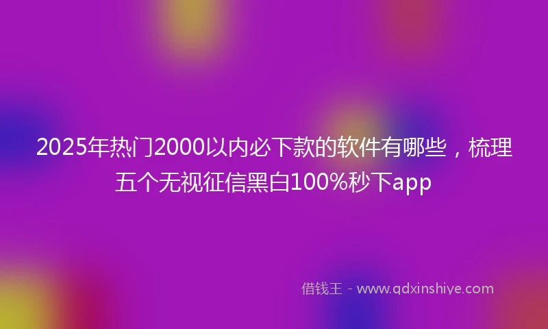 2025年热门2000以内必下款的软件有哪些,梳理五个无视征信黑白100%秒下app