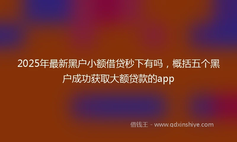 2025年最新黑户小额借贷秒下有吗，概括五个黑户成功获取大额贷款的app