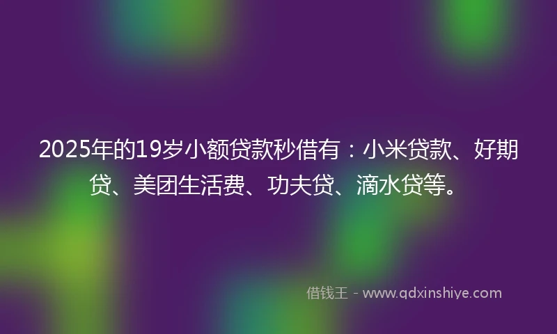 2025年的19岁小额贷款秒借有：小米贷款、好期贷、美团生活费、功夫贷、滴水贷等。