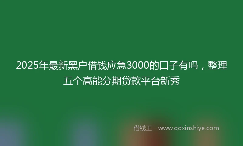2025年最新黑户借钱应急3000的口子有吗，整理五个高能分期贷款平台新秀