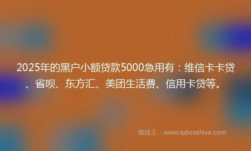 2025年的黑户小额贷款5000急用有:维信卡卡贷、省呗、东方汇、美团生活费、信用卡贷等。
