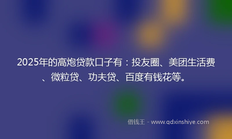 2025年的高炮贷款口子有：投友圈、美团生活费、微粒贷、功夫贷、百度有钱花等。