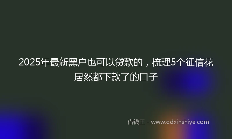 2025年最新黑户也可以贷款的，梳理5个征信花居然都下款了的口子