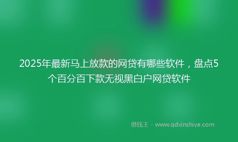 2025年最新马上放款的网贷有哪些软件，盘点5个百分百下款无视黑白户网贷软件