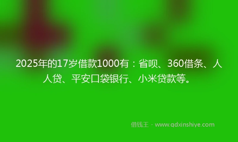 2025年的17岁借款1000有：省呗、360借条、人人贷、平安口袋银行、小米贷款等。