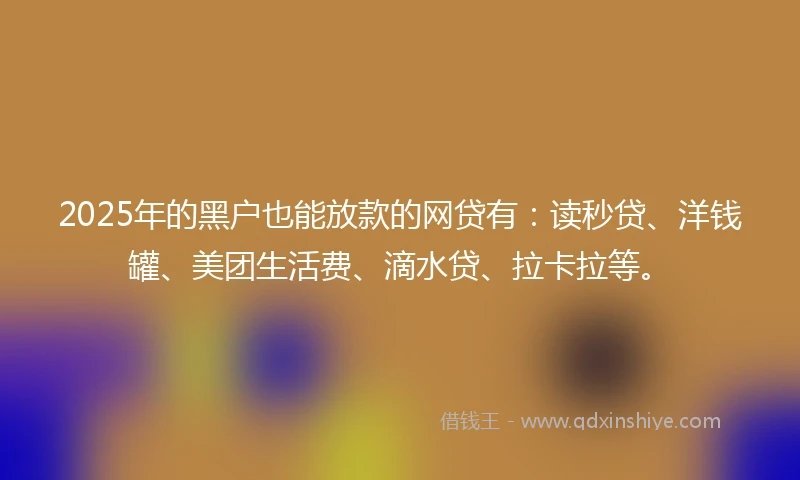 2025年的黑户也能放款的网贷有:读秒贷、洋钱罐、美团生活费、滴水贷、拉卡拉等。