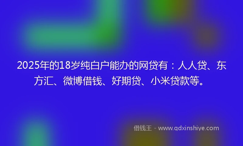 2025年的18岁纯白户能办的网贷有：人人贷、东方汇、微博借钱、好期贷、小米贷款等。
