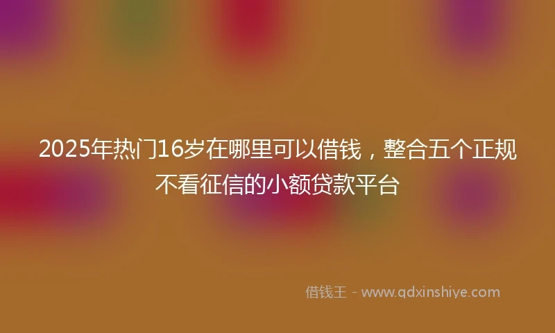 2025年热门16岁在哪里可以借钱，整合五个正规不看征信的小额贷款平台