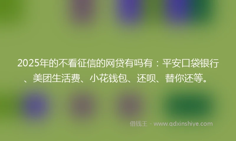 2025年的不看征信的网贷有吗有:平安口袋银行、美团生活费、小花钱包、还呗、替你还等。
