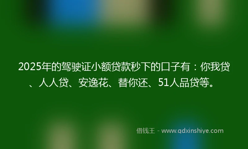 2025年的驾驶证小额贷款秒下的口子有：你我贷、人人贷、安逸花、替你还、51人品贷等。