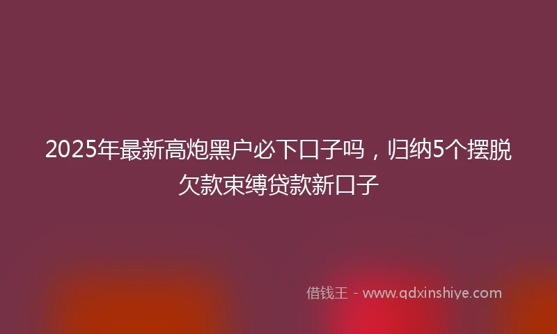 2025年最新高炮黑户必下口子吗，归纳5个摆脱欠款束缚贷款新口子
