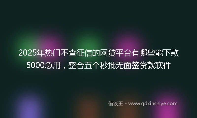 2025年热门不查征信的网贷平台有哪些能下款5000急用，整合五个秒批无面签贷款软件