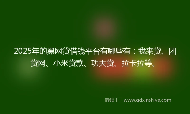 2025年的黑网贷借钱平台有哪些有:我来贷、团贷网、小米贷款、功夫贷、拉卡拉等。
