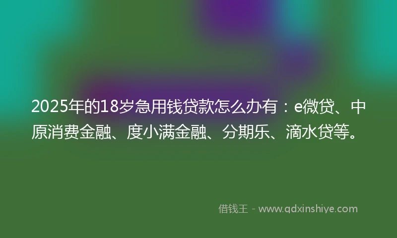 2025年的18岁急用钱贷款怎么办有:e微贷、中原消费金融、度小满金融、分期乐、滴水贷等。