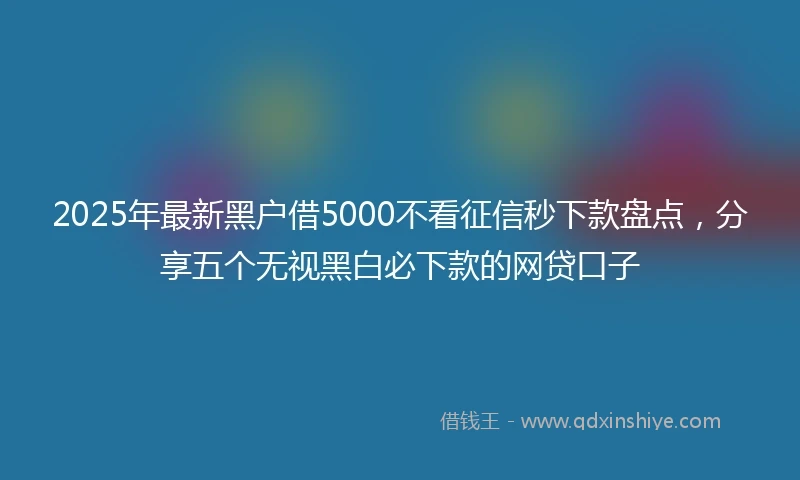2025年最新黑户借5000不看征信秒下款盘点，分享五个无视黑白必下款的网贷口子