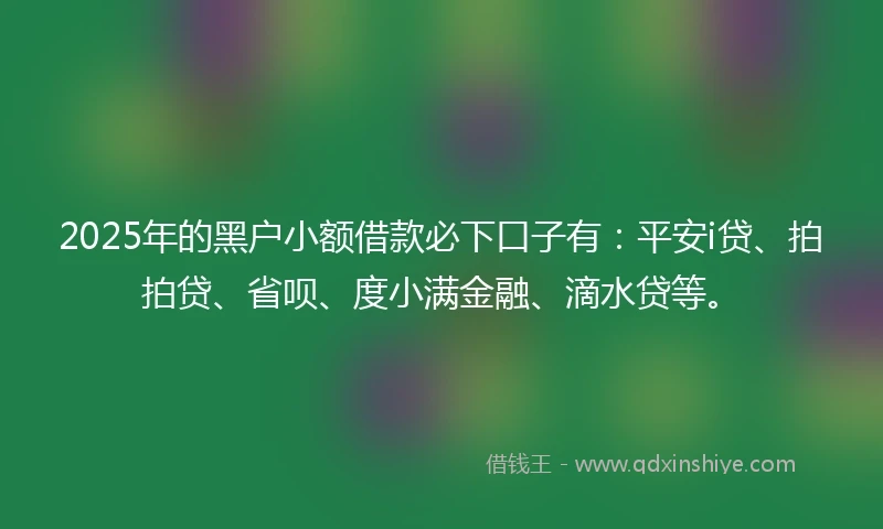 2025年的黑户小额借款必下口子有:平安i贷、拍拍贷、省呗、度小满金融、滴水贷等。