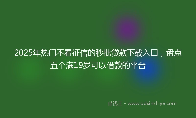 2025年热门不看征信的秒批贷款下载入口,盘点五个满19岁可以借款的平台
