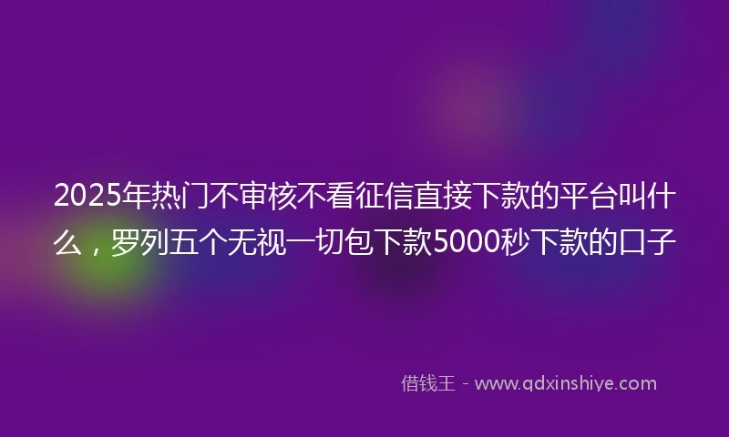 2025年热门不审核不看征信直接下款的平台叫什么,罗列五个无视一切包下款5000秒下款的口子