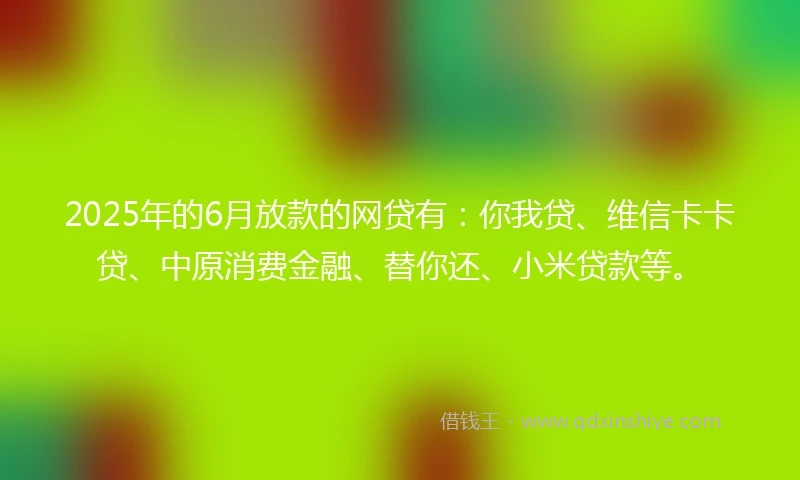2025年的6月放款的网贷有：你我贷、维信卡卡贷、中原消费金融、替你还、小米贷款等。