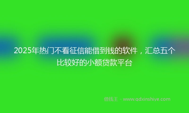 2025年热门不看征信能借到钱的软件，汇总五个比较好的小额贷款平台
