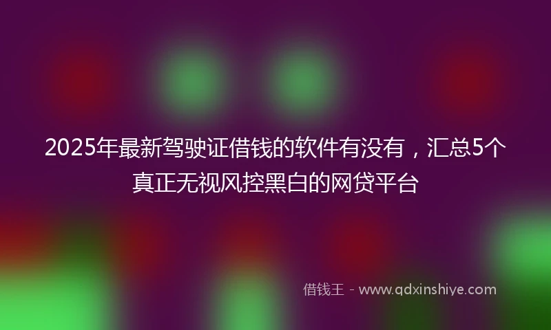 2025年最新驾驶证借钱的软件有没有，汇总5个真正无视风控黑白的网贷平台