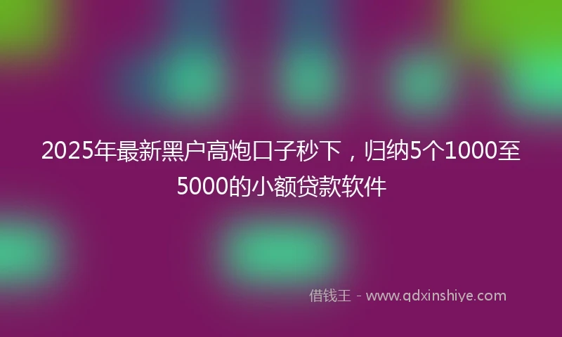 2025年最新黑户高炮口子秒下，归纳5个1000至5000的小额贷款软件