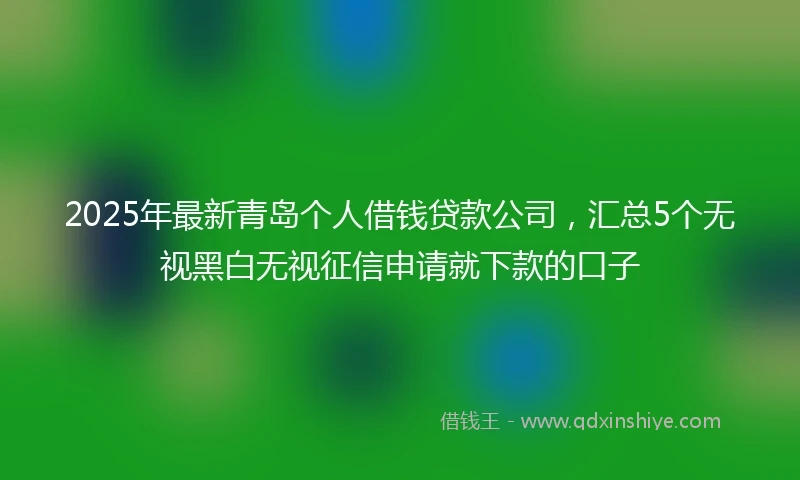 2025年最新青岛个人借钱贷款公司，汇总5个无视黑白无视征信申请就下款的口子