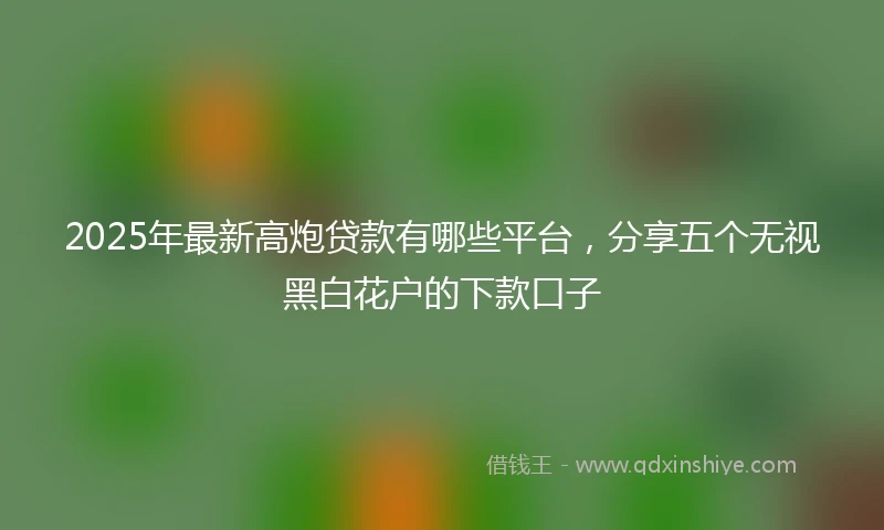 2025年最新高炮贷款有哪些平台，分享五个无视黑白花户的下款口子