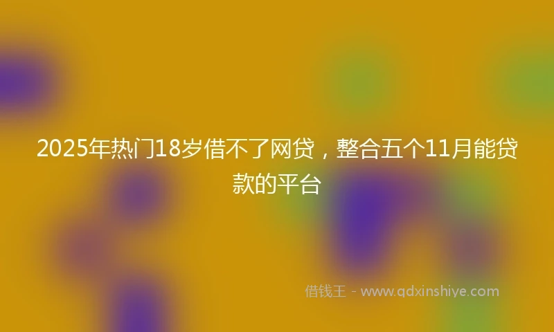 2025年热门18岁借不了网贷,整合五个11月能贷款的平台