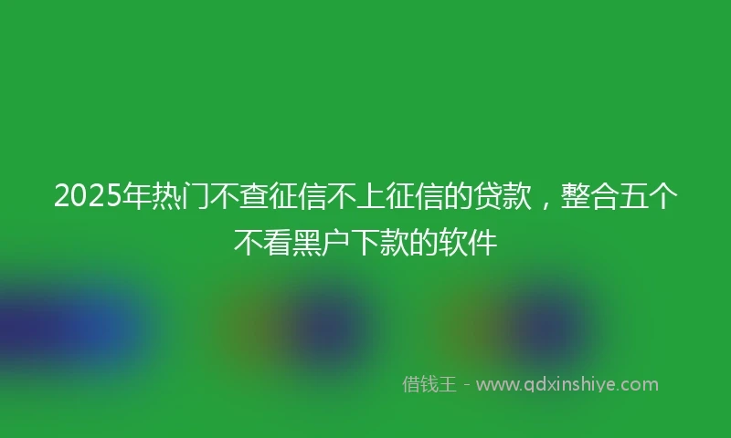 2025年热门不查征信不上征信的贷款，整合五个不看黑户下款的软件