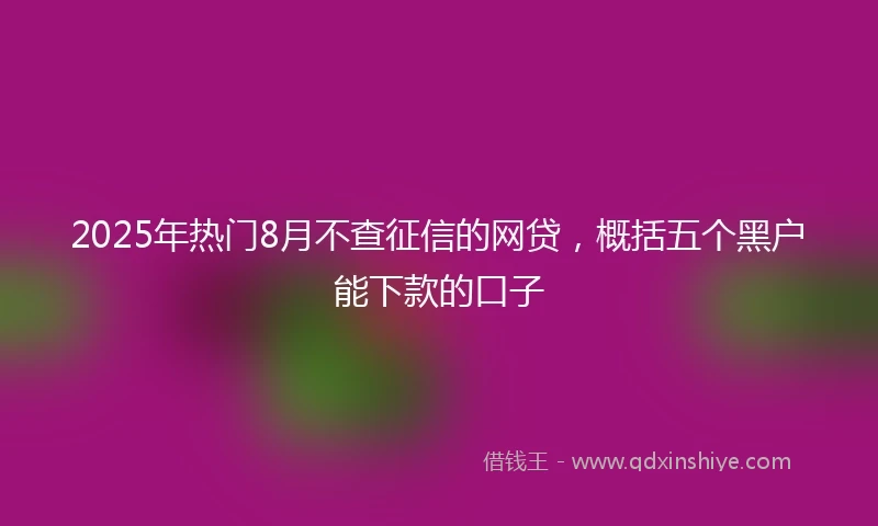 2025年热门8月不查征信的网贷，概括五个黑户能下款的口子