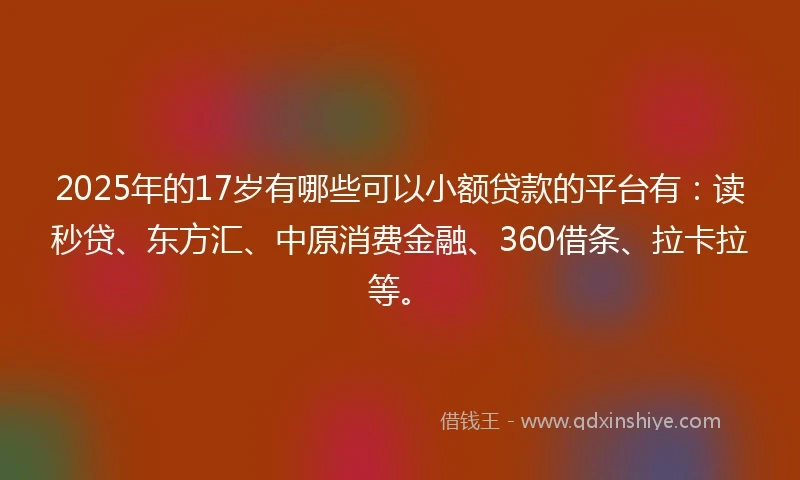 2025年的17岁有哪些可以小额贷款的平台有：读秒贷、东方汇、中原消费金融、360借条、拉卡拉等。