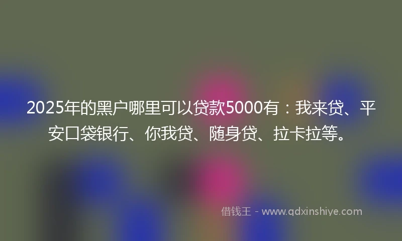 2025年的黑户哪里可以贷款5000有：我来贷、平安口袋银行、你我贷、随身贷、拉卡拉等。